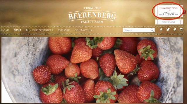 贝伦伯格草莓农场