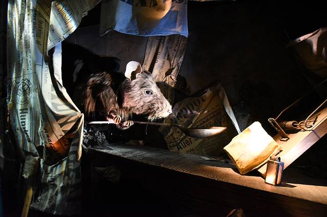 六月坡儿童主题博物馆