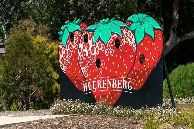 贝伦伯格草莓农场