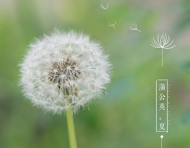 奥林匹克森林公园