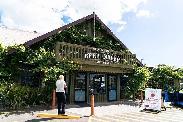 贝伦伯格草莓农场