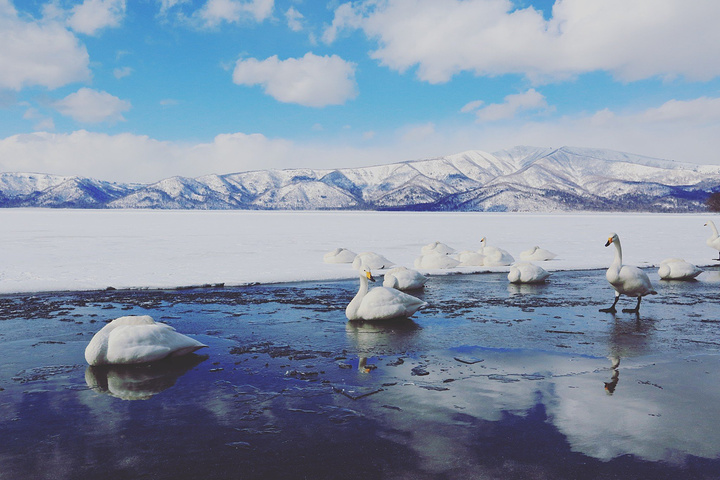 2018入口处写着温泉的历史,1984年建造,还附上