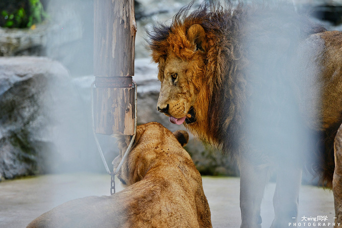 逃离寒冬,我与三亚有个约会(三亚三天两夜吃住