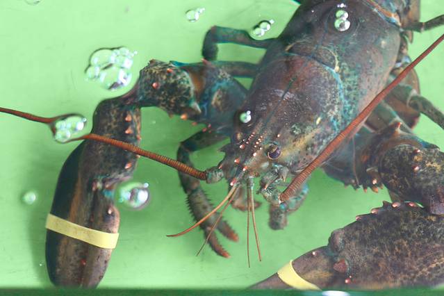 银滩路海鲜市场