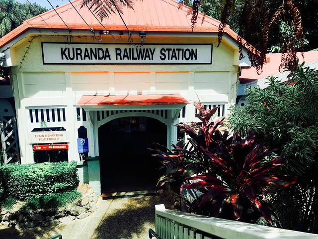 库兰达雀鸟世界