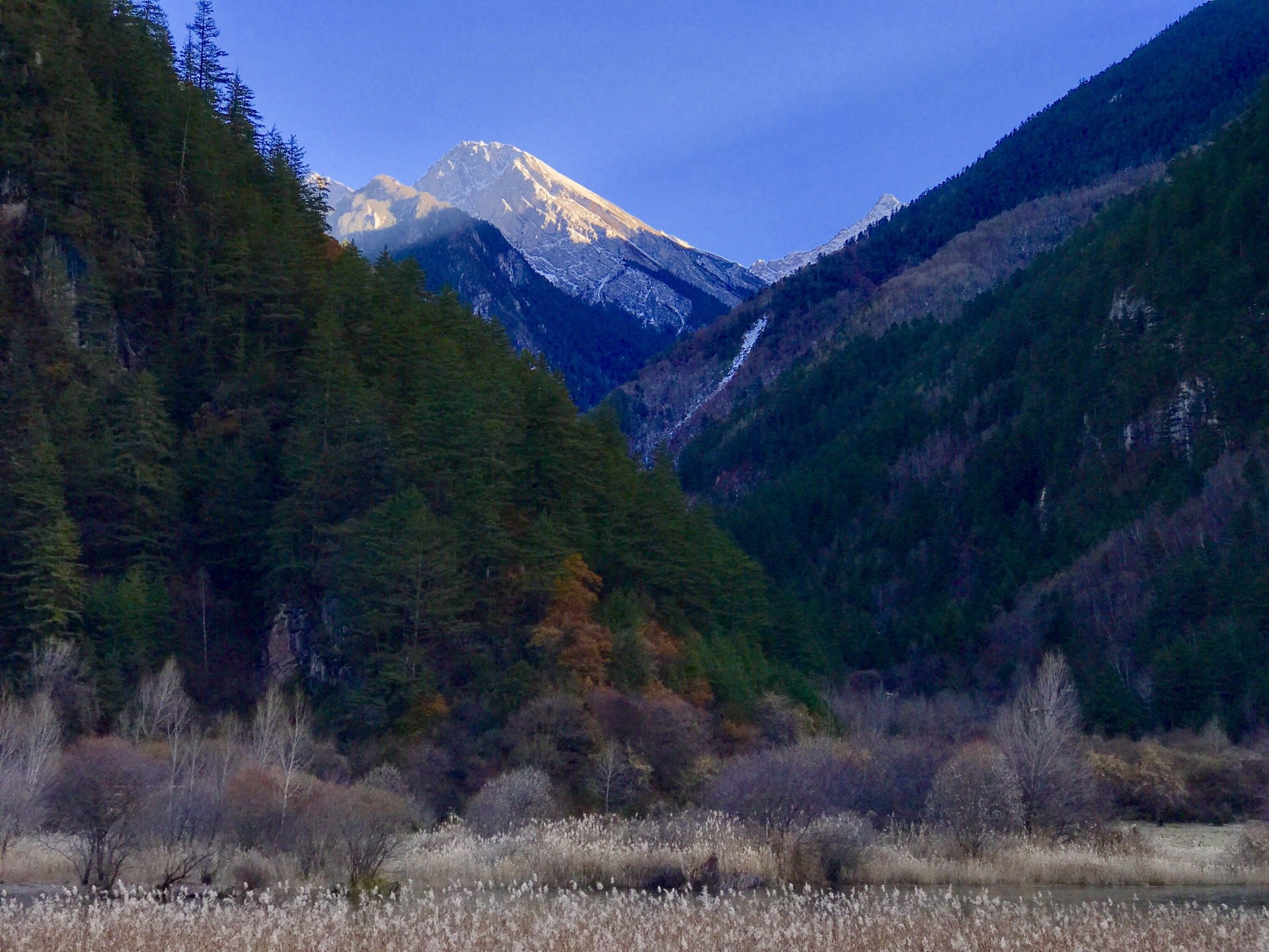 100张图片告诉你冬天的九寨沟有多美丽