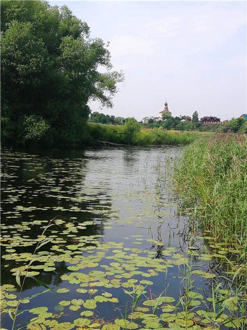 圣欧蒂米奥救世主修道院