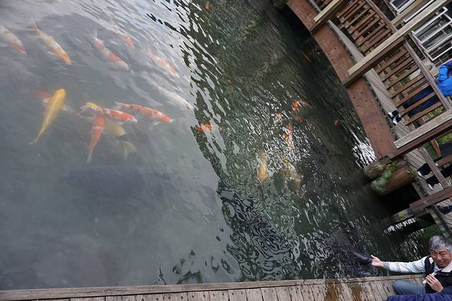 立川渔场 | 黄金蚬的故乡