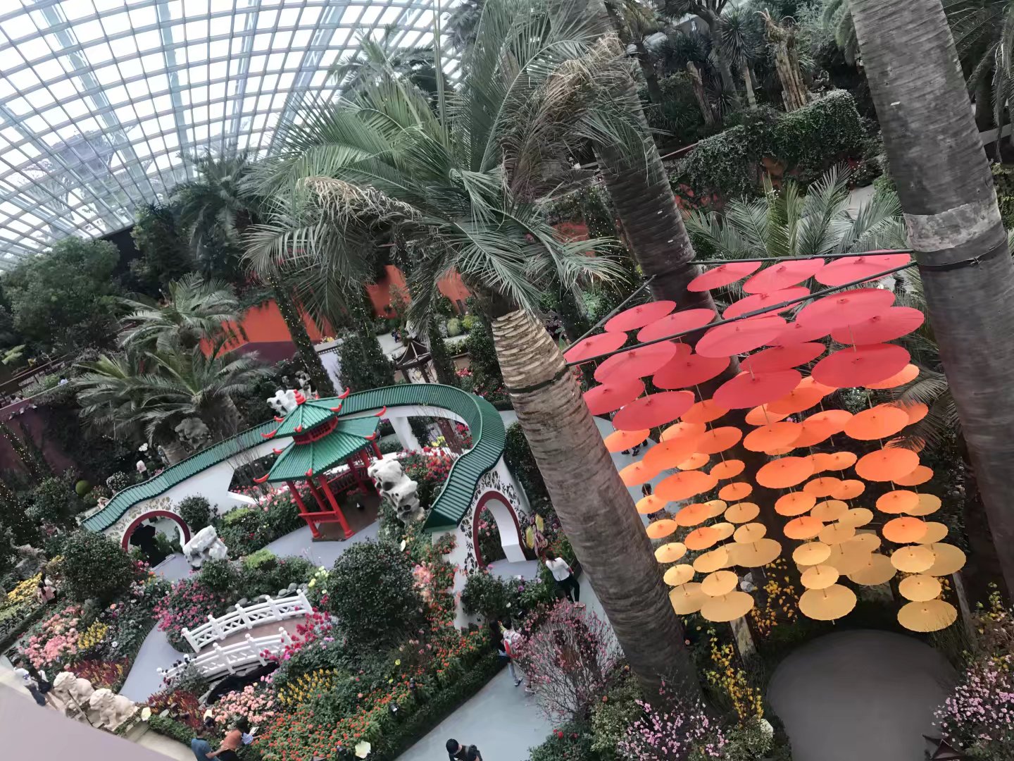 2024新加坡滨海湾花园游玩攻略,滨海湾花园有两个景点:Flowe...【去哪儿攻略】