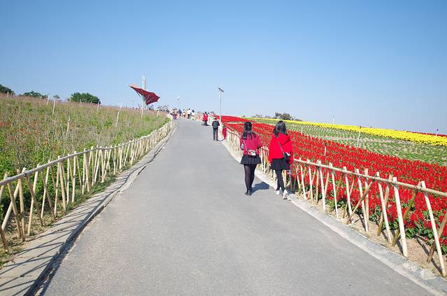 东部华侨城-湿地花园
