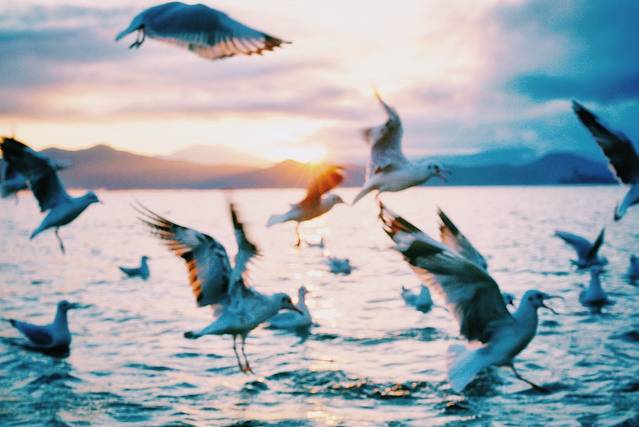 猪槽船游湖（里格码头）