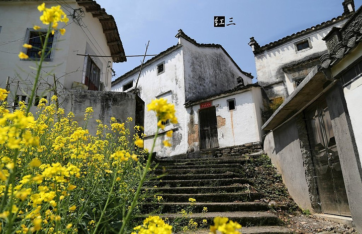 2024从石潭村越往里走,风景越好,也越有野趣。石潭古村还保留两座古祠堂。其中一座堪称古祠堂典范——叙伦堂_石潭村-评论-去哪儿攻略