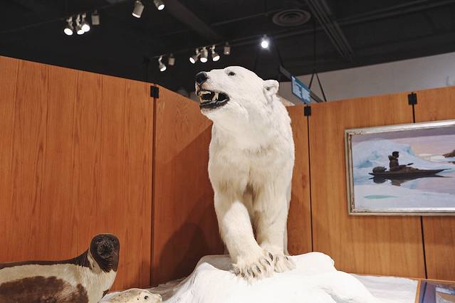 北方极地博物馆