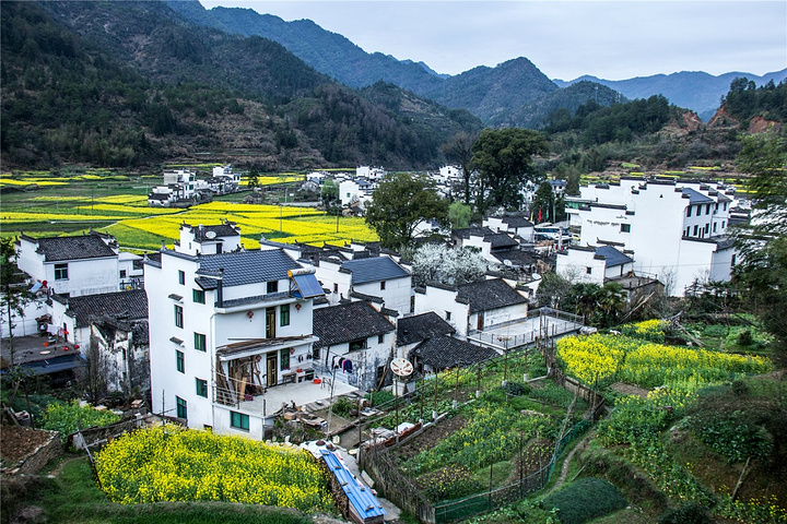 "虽说庐坑是要打造成生态景观村，但是这里人迹罕至（除了当地居民和来写生的画家、摄影师之外）没有圈..._庐坑"的评论图片