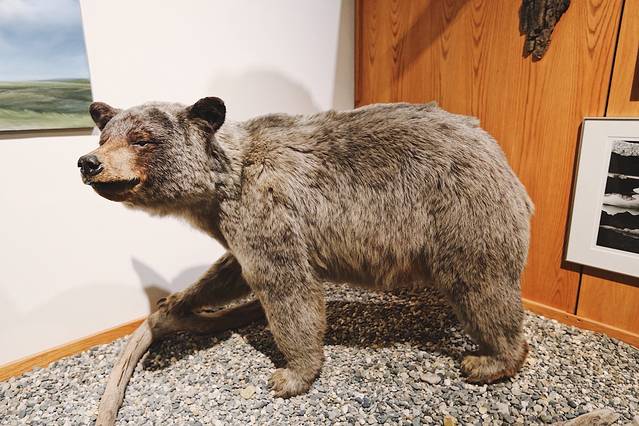 北方极地博物馆