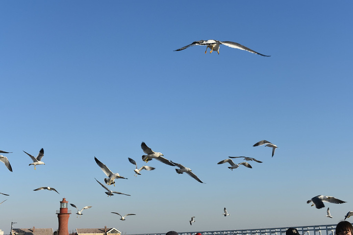 星海广场,是世界最大的城市广场(1997年6月30