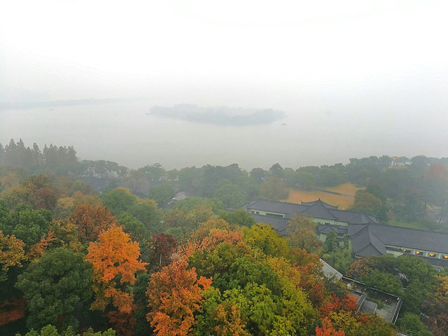 "西湖真的很大，许多景点虽然都在西湖畔，却相距甚远。比如雷峰塔和断桥就隔着一汪碧绿的湖水，两两相望_雷峰塔"的评论图片