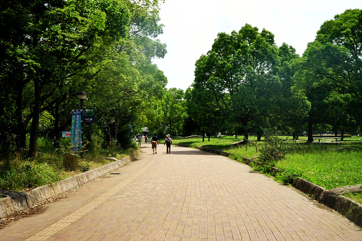 荐:植物园和大阪市立自然史博物馆都在长居公