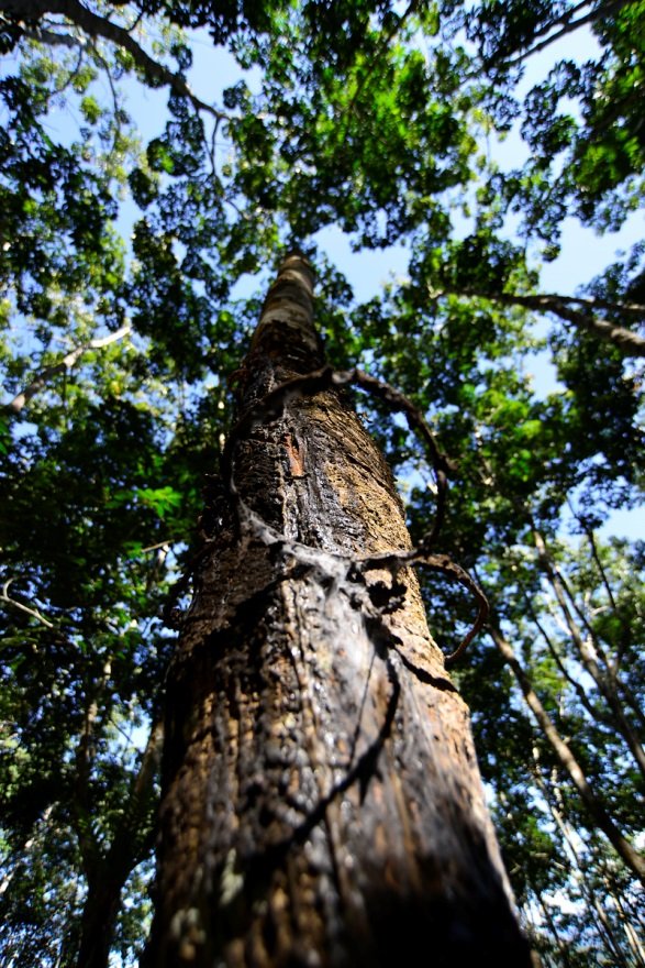 云南南滚国家级自然保护区