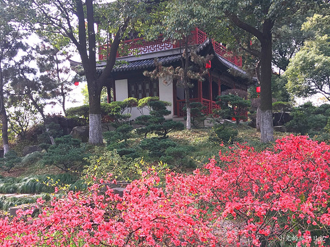曾赵园旅游景点图片