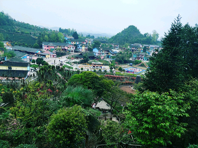 遵义景区直通车启动~十万大学生游学遵义,第一站:七彩部落-遵义旅游攻略-游记-去哪儿攻略