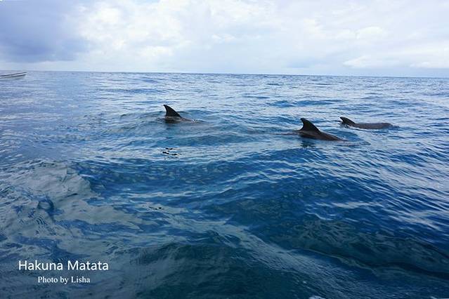 桑给巴尔南威村