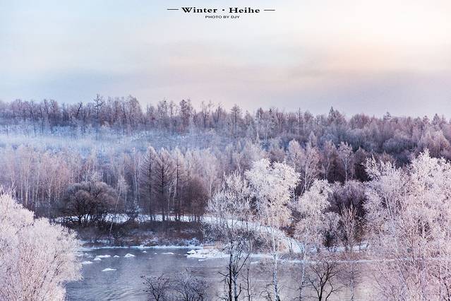 逊克县古纳温雾凇景区