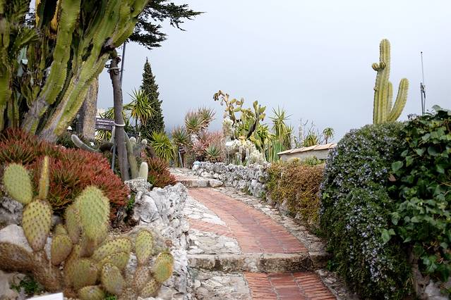 Eze 埃兹热带植物园