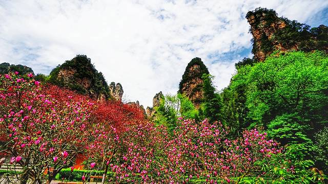 张家界国家森林公园-大氧吧广场