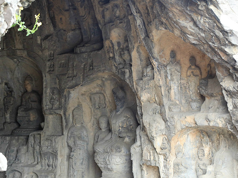 龙门西山石窟-莲花洞旅游景点图片