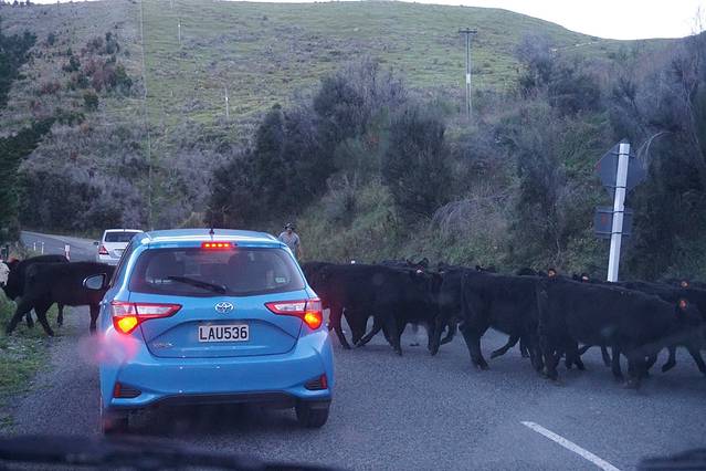 凯库拉半岛步道