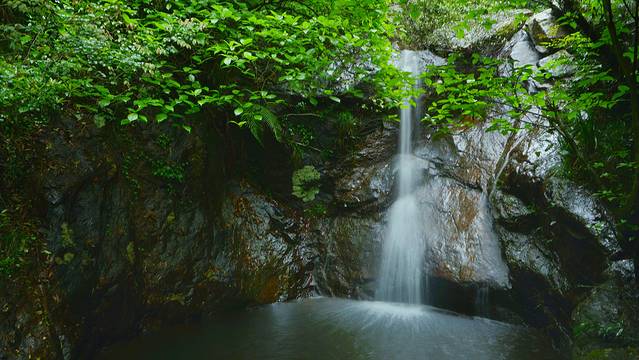 大余丫山旅游度假区