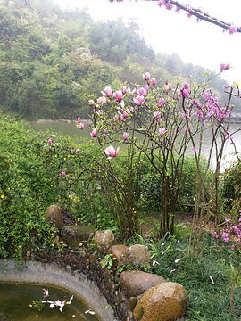 万华岩旅游景点攻略图