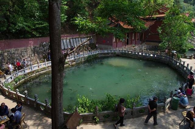 云南丰泽园植物园