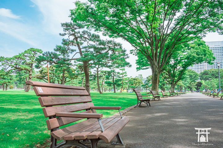 公园一大片草地草地的草也特别新鲜粉嫩据说这些草地的草都是从国外