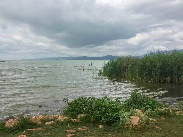 海东湿地公园