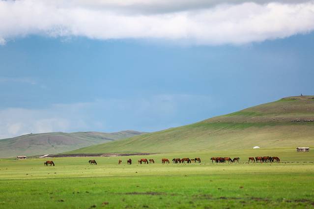 莫尔格勒河景区