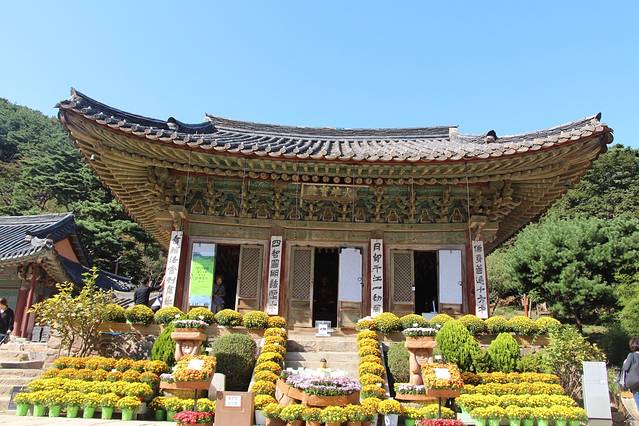 2025传灯寺门票,仁川传灯寺游玩攻略,传灯寺游览攻略路线/地址/门票价格-【去哪儿攻略】