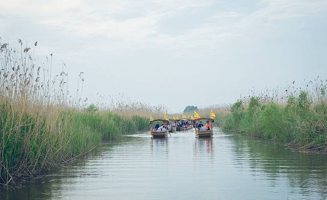 高邮湖芦苇荡湿地公园