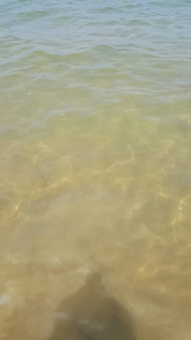 白沙湾黄金海岸