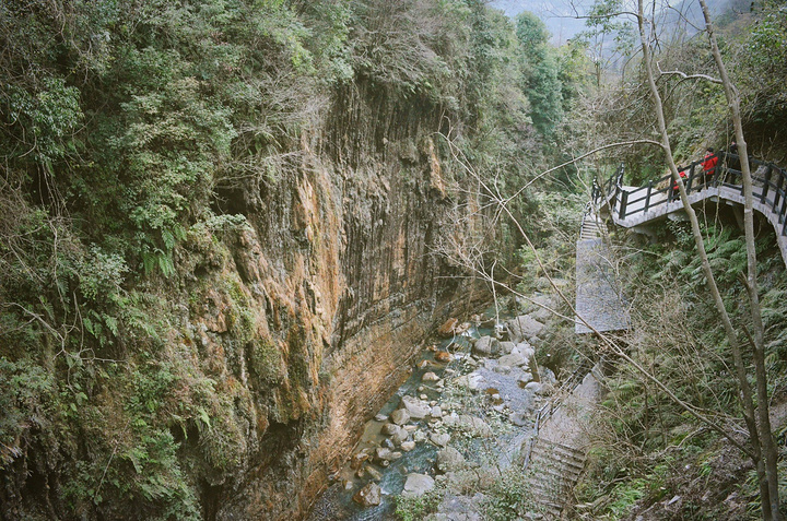 "不过比起整个大峡谷的风景而言，付出点艰辛还是很值得的，因为大峡谷的自然风貌和科学价值绝对是世界级的_云龙河地缝"的评论图片