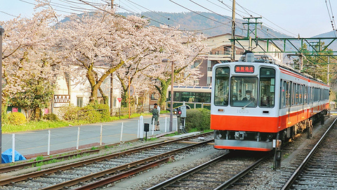 箱根