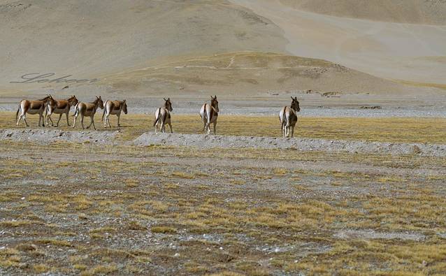 昆仑山世界地质公园