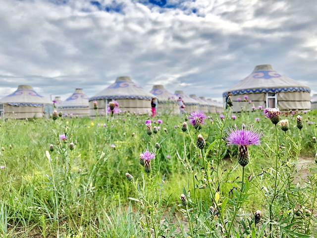 通古斯蒙古部落