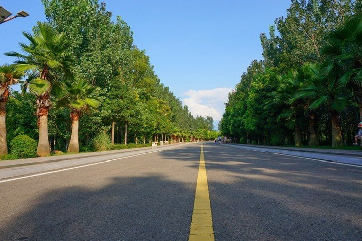 真实马路风景图片