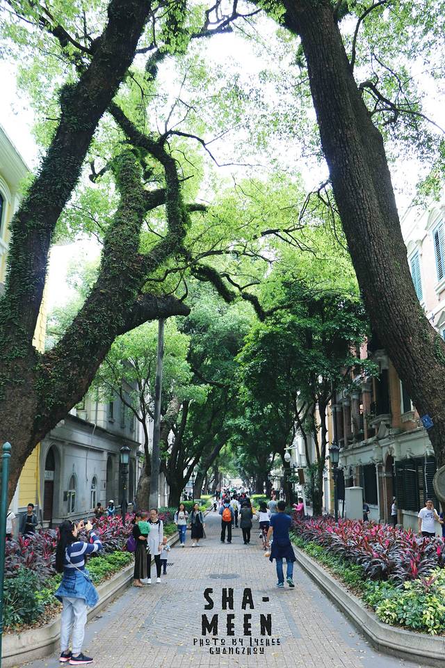 天主教广州教区露德圣母堂