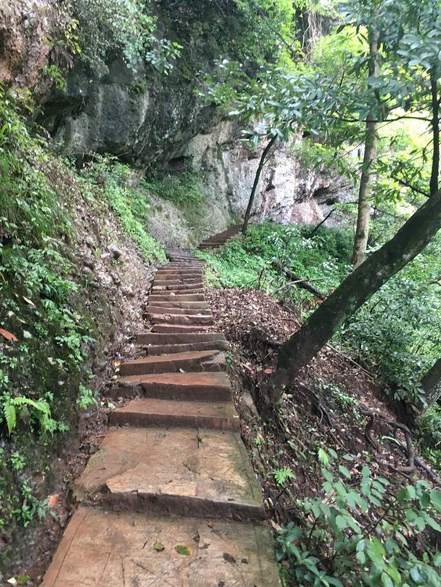 又一村(青城后山店)