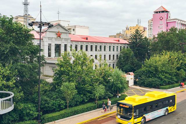 在大森林里的小夏天找到我的小确幸