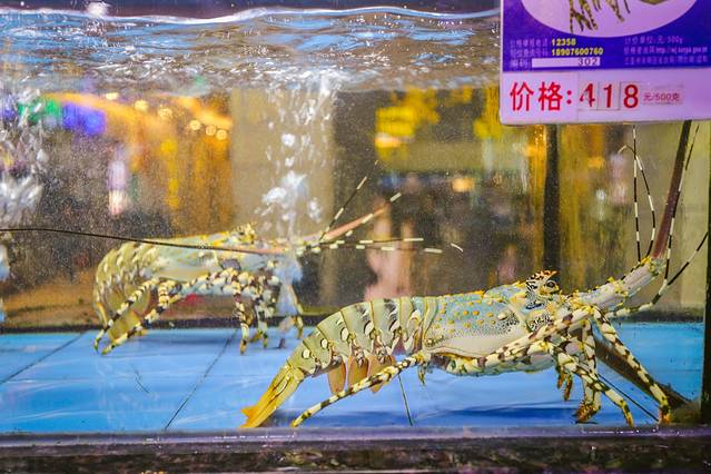 奥特莱斯海鲜广场