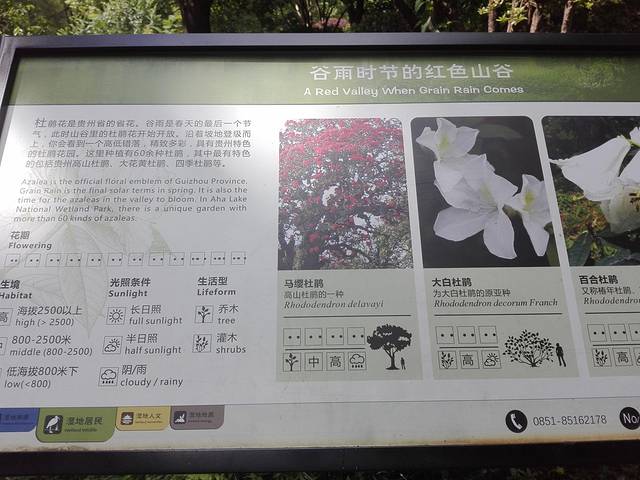 小车河城市湿地公园